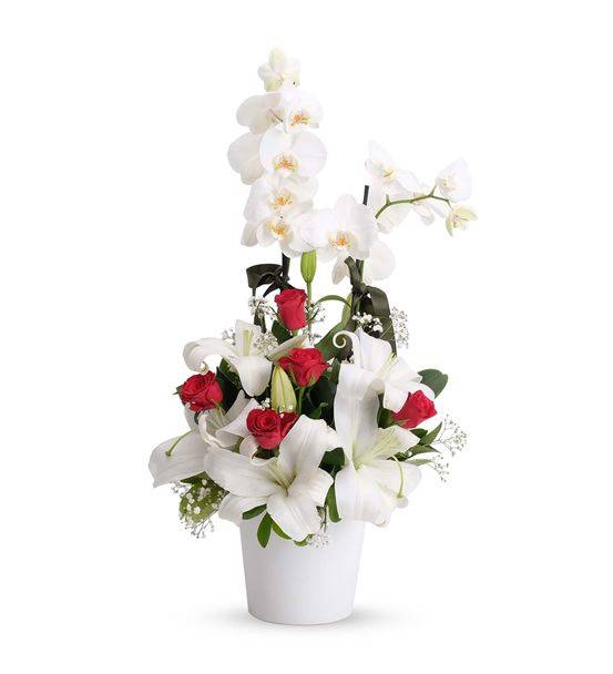 Mutlu Kalpler 2 Dal Beyaz Orkide Aranjmanı