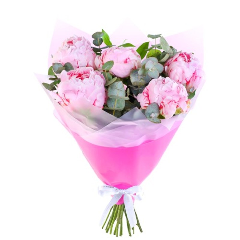 Pembe Şakayık Buketi Şeffaf Sargı